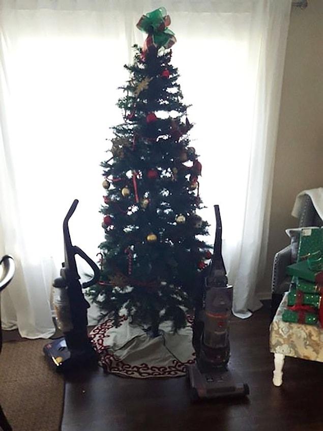 2. Best solution to protect your tree from cats!