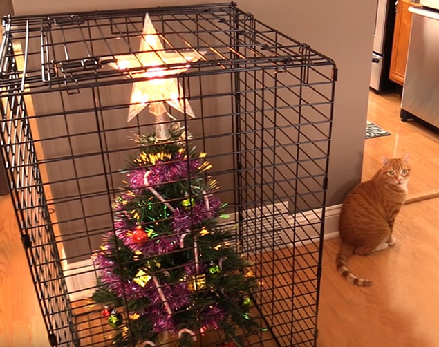 6. How to protect Christmas tree from your cat? Use a cage but not for cat...