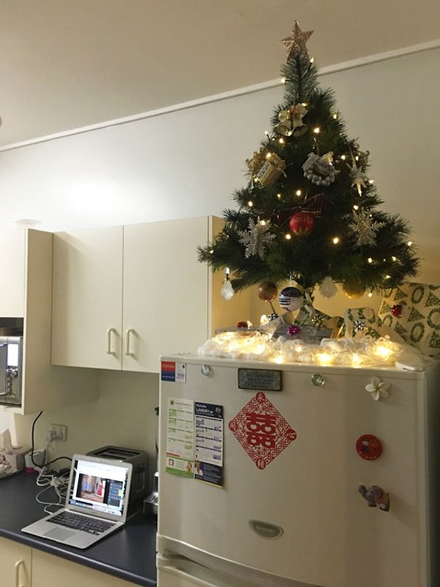 25. "Our cat proof Christmas tree! We decided to buy a smaller one and put it on top of the kitchen fridge"