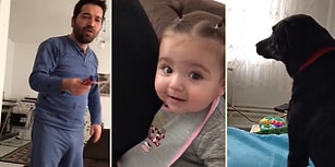 Babasından Azar Yiyen Minik Kızı Koruyan Akıllı Köpek