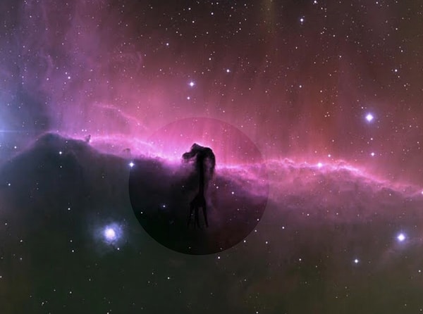 Подглядеть ответ 👀