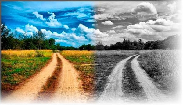 6. Кем вы являетесь по жизни?