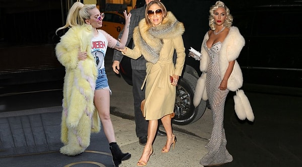 Их действия привели к тому, что разумные потребители отказались от использования меха, и всемирно известные дома моды также не остались равнодушными к этому вопросу.