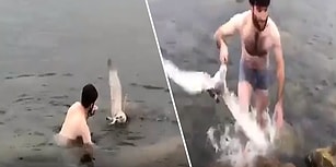 Buz Gibi Suya Girerek Ölmek Üzere Olan Martıyı Kurtaran Güzel İnsan!