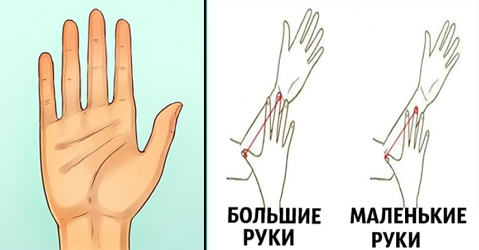 Тест: Измерьте размер своей руки. Он может многое о вас рассказать