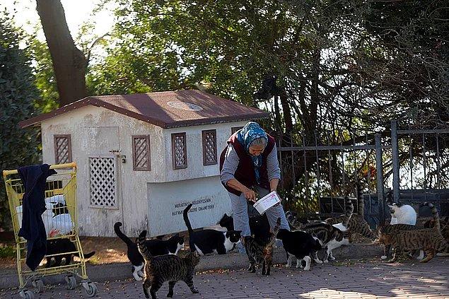 7. Antalya’da yaşayan Muazzez Turan, her sabah erkenden çıkıp 300’den fazla kediyi ve 20’den fazla köpeği besleyerek onlarla ilgilenmiş ve bu hareketiyle gönlümüzün tahtına kurulmuştu.