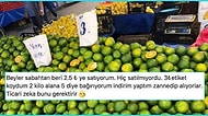 Karşılaştıkları Sorunların İçinden Kıvrak Zekasını Kullanarak Çıkmış 15 Zehir Kafa