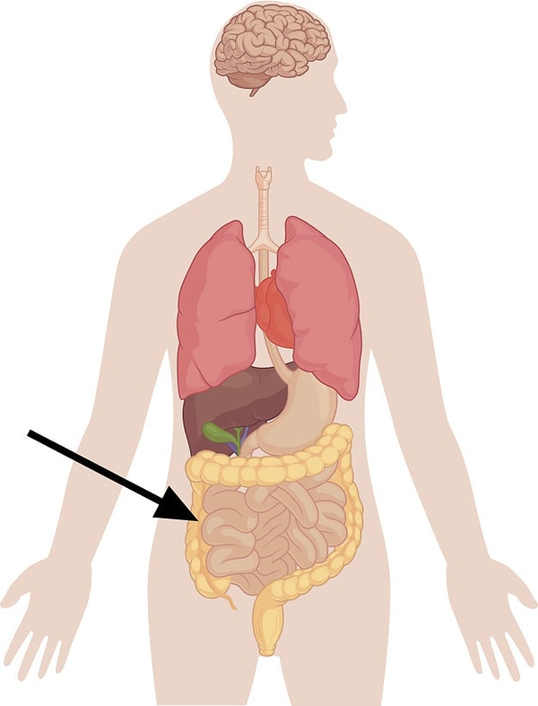 2. А здесь у нас что?