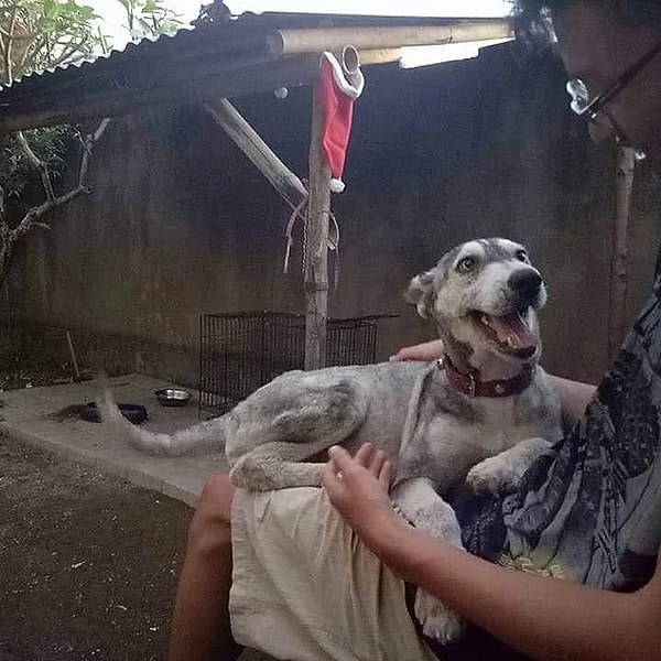 16. Rico Soegiarto isimli bir genç, sokakta açlıktan ölmek üzere olan bir köpeği sahiplenerek onu hayata döndürmüş ve ortaya bu güzel karenin çıkmasını sağlamıştı.