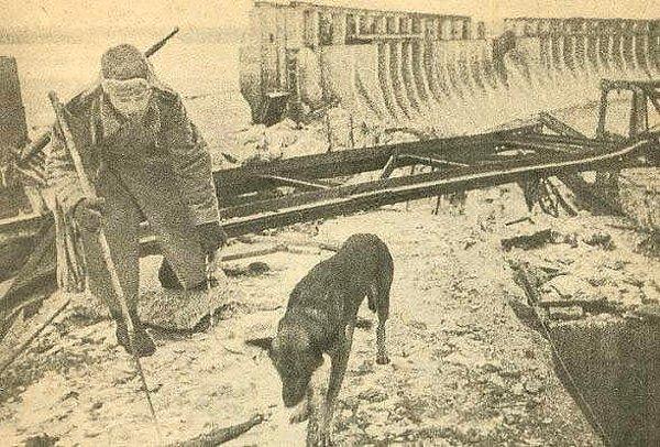Çoğunluğunu Alman çoban köpeklerinin oluşturduğu bu köpekler, serbest kaldıkları anda tankların altına koşmaya alıştırılmaya çalışıyordu.