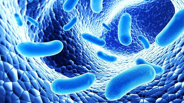 6. Bağırsaklarınızdaki sizi sağlıklı tutan ve yemekleri öğütmenize yardımcı olan bakterilerle simbiyotik bir ilişkiniz vardır. Öldüğünüzde ise sizi yerler.