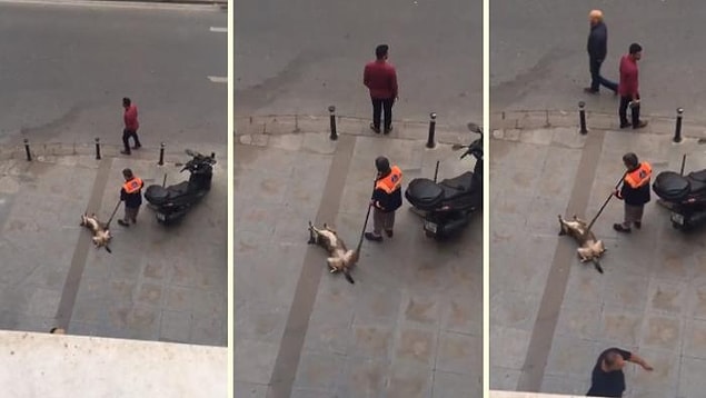 18. Eğer güzel bir kare görmek istiyorsanız, şundan daha iyisini bulacağınızdan şüpheliyiz. Yerde yatan sevimli sokak köpeğiyle temizlik işçisinin neşe dolu anları içinizi ısıtacak.