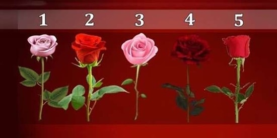 Тест: Выберите розу и узнайте, когда ваше желание исполнится