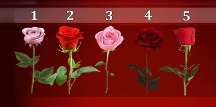 Тест: Выберите розу и узнайте, когда ваше желание исполнится
