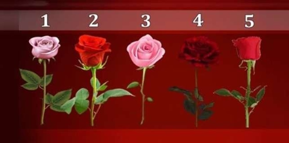 Тест: Выберите розу и узнайте, когда ваше желание исполнится