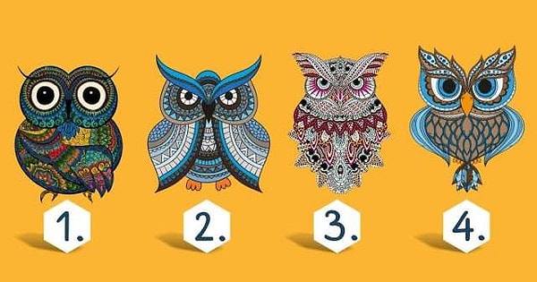 Итак, выберите одну из этих сов.