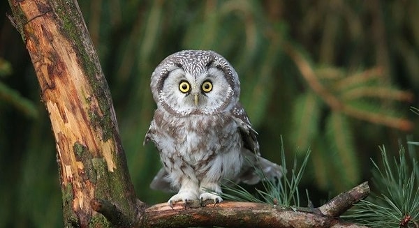 Вы много чего боитесь