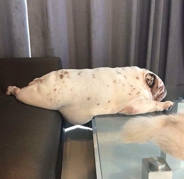 2. When you over-eat: