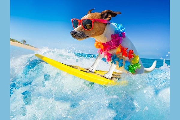 9. Вам нравится абсурд?