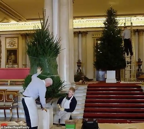 И шикарные ёлки 🎄🎄🎄