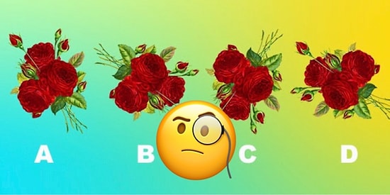 Тест: Какой из 4-х цветков - лишний?