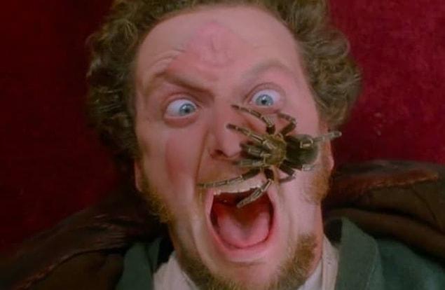 5. In Home Alone, a fake tarantula was thought to be put on Daniel Stern's face.
