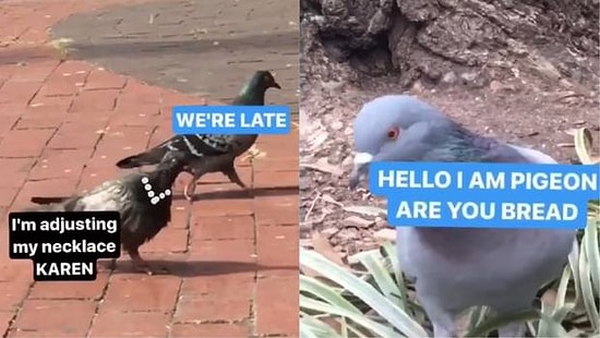 Instagram'ın Hikaye Özelliklerini Kullanarak Mini Öyküler Çeken Adam