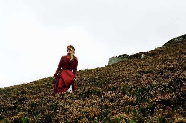 7. Чьему перу принадлежит "Грозовой перевал"?