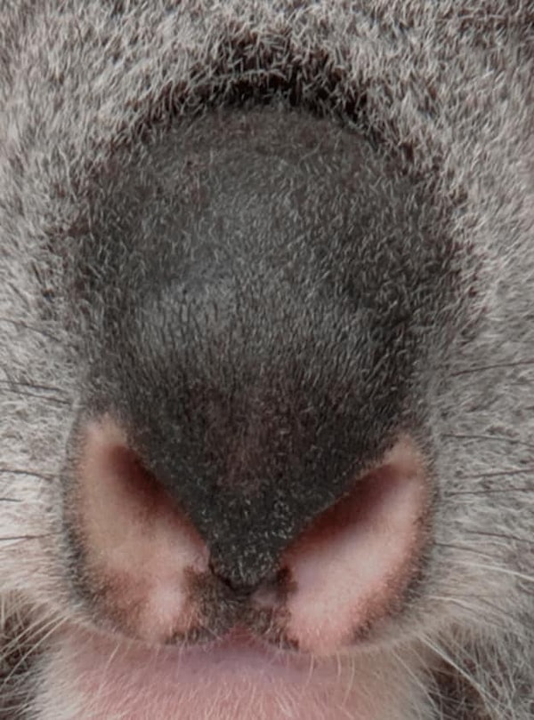 4. Что скажете?