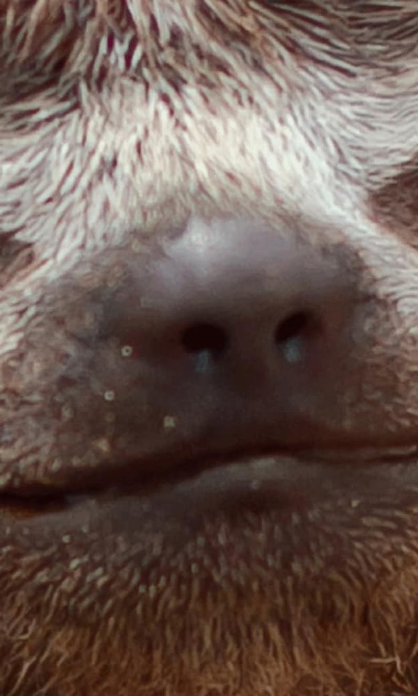 7. Да, угадать, конечно, сложновато, но мы в вас верим 😉