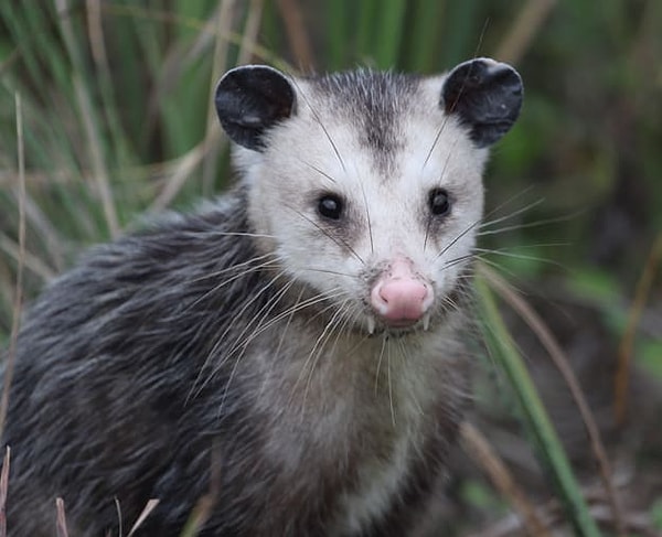 Посмотреть ответ: