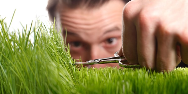 4. Ну хорошо. А на сколько процентов вы сами считаете себя идельным человеком?