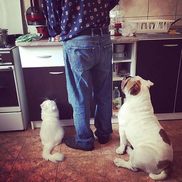 20. "Babamın çektiğim son fotoğrafı. Akciğer kanseri tanısı konulmadan 2 hafta önce. Kedim de köpeğim de onu çok severdi. 4 ay sonra hayatını kaybetti."