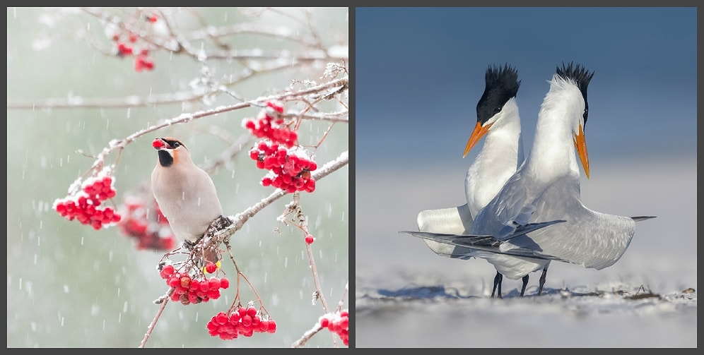 Названы лучшие фото Земли и космоса 2018 года