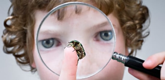 Тест, который проверит, насколько вы внимательны