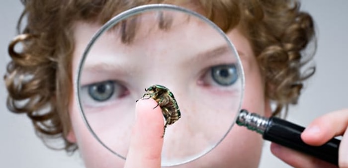 Тест, который проверит, насколько вы внимательны