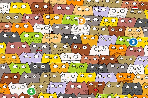 3. Перед вами куча сов и всего один кот. Где он? Подсказка: проверяйте носы!