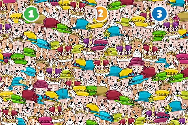 9. В этой компании корги затерялась Ее Величество Елизавета II. Нашли королеву?