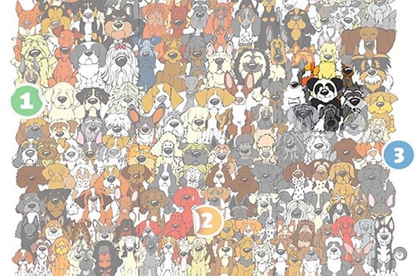 Подглядеть ответ 👀