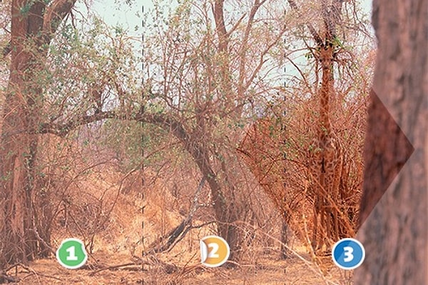 Узнать правду 🤭