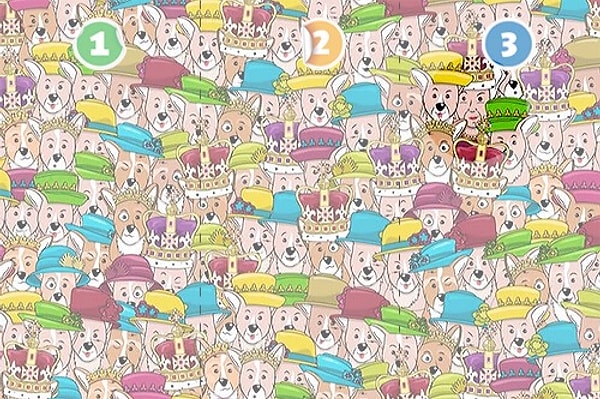 Узнать ответ 🤓