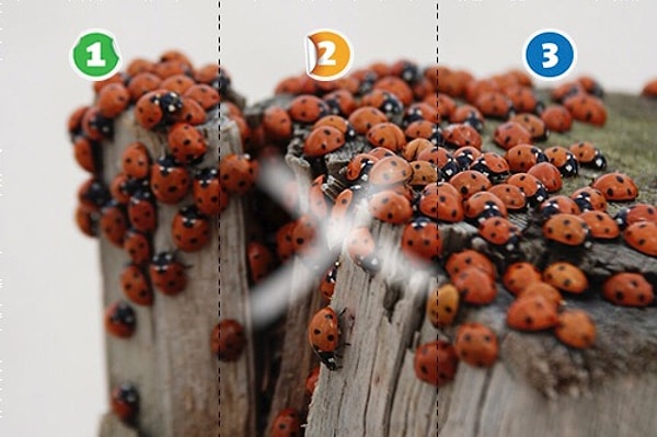 Посмотреть, где бабочка 🦋