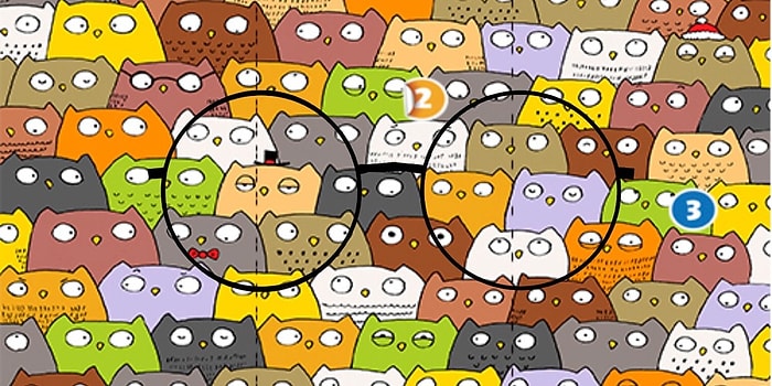 Тест для зорких глаз: Под силу ли вам найти скрытые фигуры на всех 10-ти картинках?