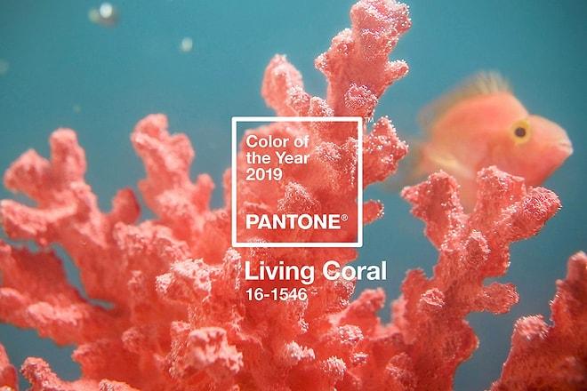2019 Yılının Rengi: Pantone Living Coral