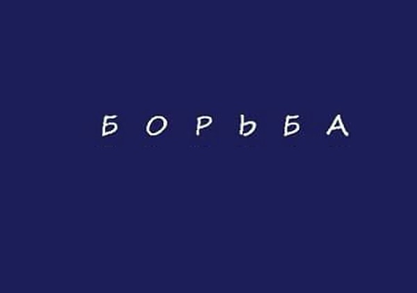В новом году вам предстоит покорить не одну вершину. Главное - верьте в себя, и у вас все получится.