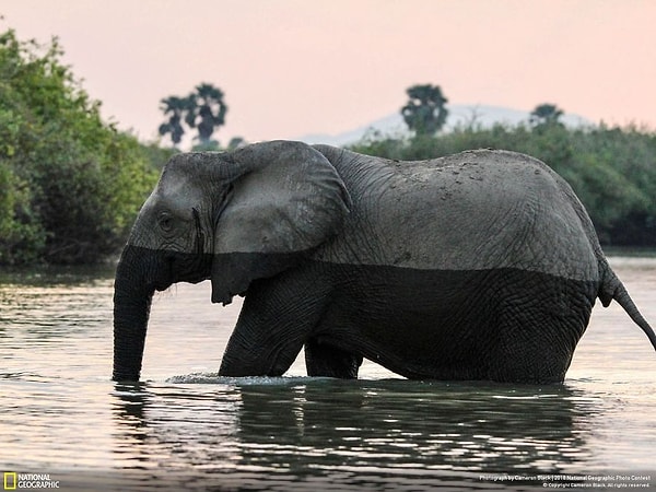 6. "На полпути домой"