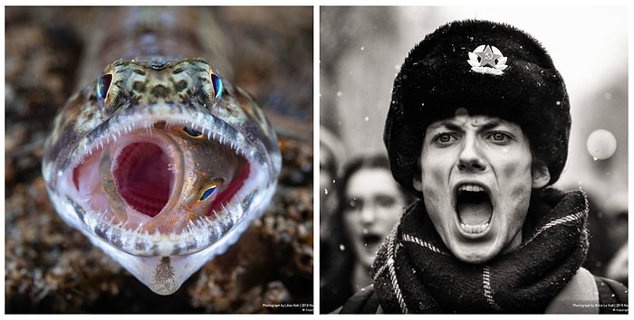 Объявлены лучшие снимки фотоконкурса National Geographic 2018 года