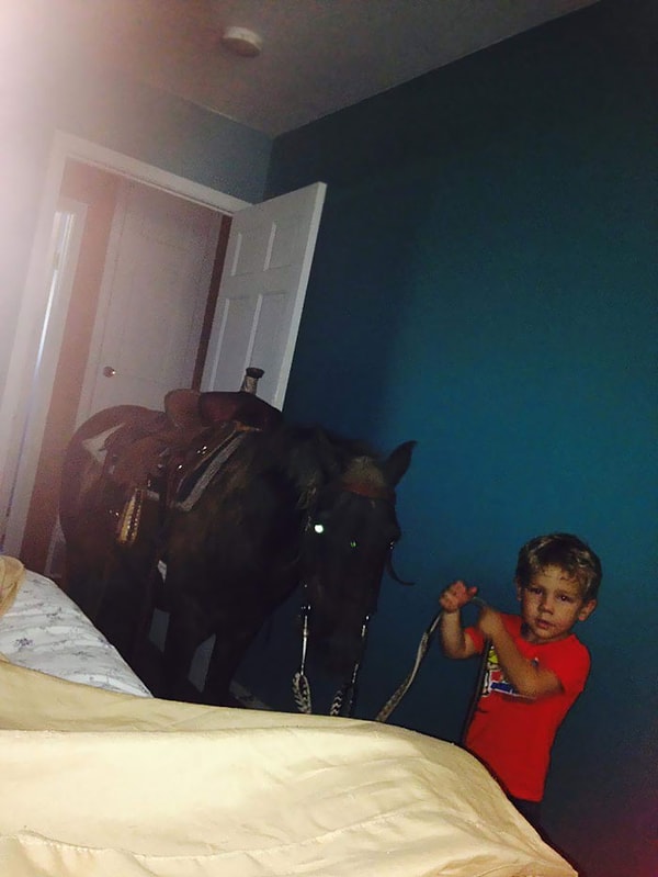 25. Ребенок решил, что лошадке на улице очень холодно, а в доме - в самый раз.