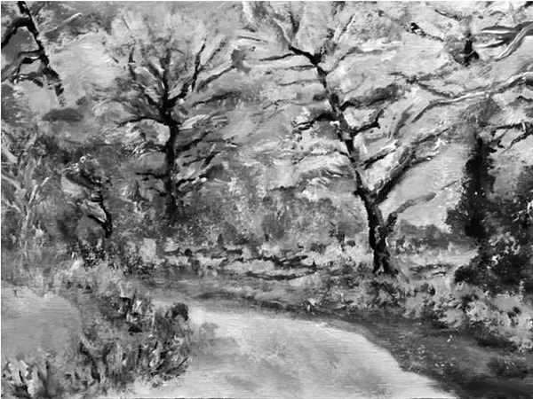 5. Как насчёт этой картинки?