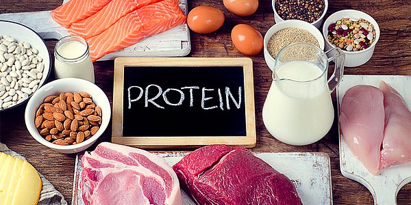 1. Her öğün yeterli protein almak önemli.